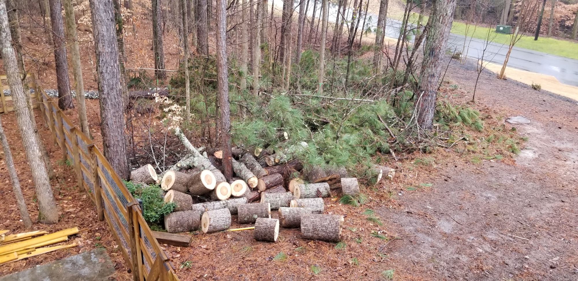 GALLERY GA State Land Clearing & Tree Service