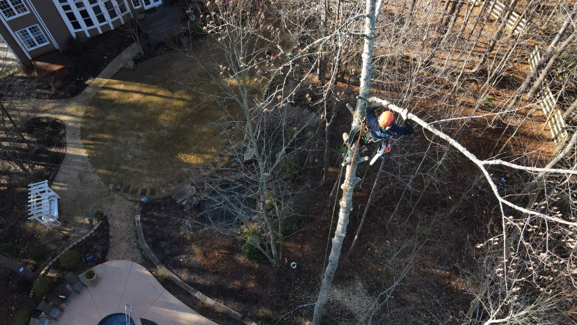 GALLERY GA State Land Clearing & Tree Service