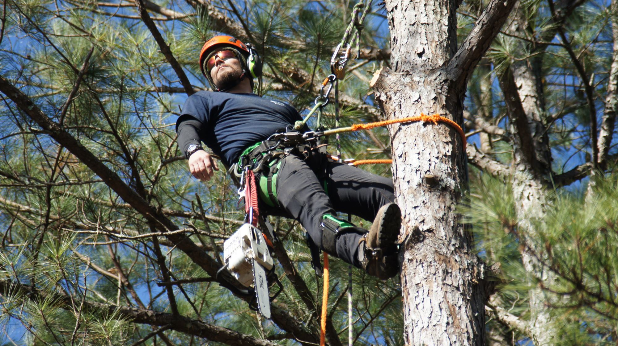 GALLERY GA State Land Clearing & Tree Service